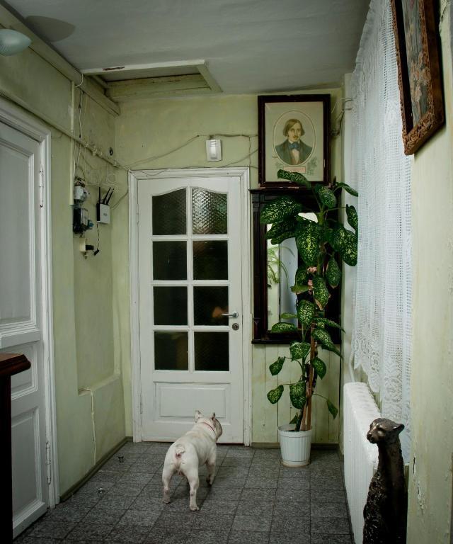 Klarabara Apartment Odessa Pokój zdjęcie